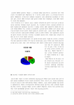 [국제경영] `HJC`홍진크라운 미국진출의 성공전략 - 후발업체의 경쟁모방전략차원에서의 분석-4
