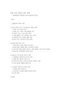 [국제경영] `HJC`홍진크라운 미국진출의 성공전략 - 후발업체의 경쟁모방전략차원에서의 분석-7