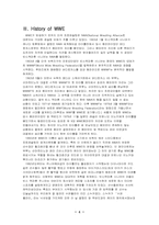 WWE프로레스링 마케팅전략-6