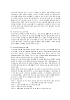 [다국적기업론] 유니레버의 세계화-2