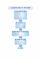 LG전자의 PDP TV 독일 진출-1