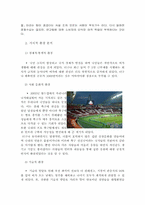 [스포츠마케팅] FC-SEOUL축구팀의 마케팅환경과 전략분석-6