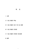 [호텔관광] 중소호텔 1-3급 호텔의 문제점 개선방향-2