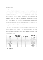 [국제마케팅] 노키아의 성공사례분석연구-4
