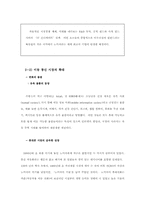 [국제마케팅] 노키아의 성공사례분석연구-12