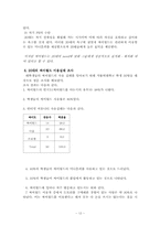 [마케팅] 새로운 문화코드 싸이월드 마케팅분석-12