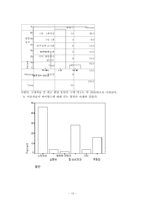 [마케팅] 새로운 문화코드 싸이월드 마케팅분석-13