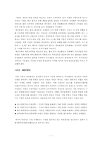 [국제마케팅믹스전략사례] 뉴스타광학 마케팅사례-7