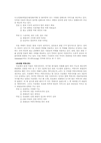 [마케팅조사방법론] 싸이월드의 마케팅전략-8