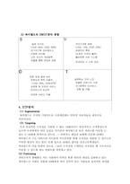 [마케팅조사방법론] 싸이월드의 마케팅전략-12