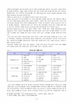 [인터넷광고] 인터넷광고전략 및 운용방법에 대한 연구-6
