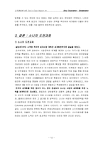 [국제경영] 소니 국제화전략-13