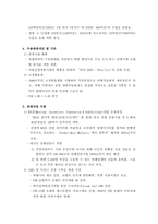 [국제관광] 말레이시아의 관광정책 조사-6