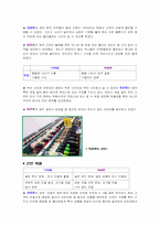 [유통전략] 매장상품배열- 상품과학적배열법(할인마트와 쇼핑몰)-11