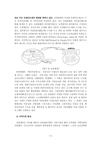 [기업문화] 유한양행 분석-19