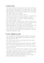 [경영전략] 할인점 `이마트` 성공전략과 경영전략-4