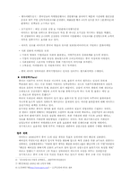 [경영전략] 할인점 `이마트` 성공전략과 경영전략-11
