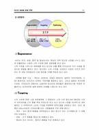 [국제경영전략](주) HJC홍진크라운의 글로벌성공전략-18