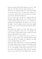 [국제경영] Entry전략- `오로라월드`의 사례분석-16