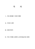 [소비자행동] 미샤의 현황, 전략분석 및 소비자정보처리과정의 해석-2