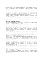 [마케팅] 싸이월드 마케팅전략-3