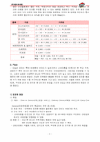 피자헛 마케팅믹스(5p)분석-9