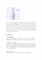 [다국적기업론] 코카콜라 기업분석-17