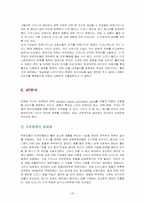[국제마케팅] 유로디즈니랜드의 전략적 분석-20