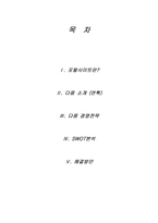 [경영전략분석] 인터넷기업 daum 다음 경영전략분석-2