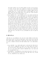 [경영전략분석] 인터넷기업 daum 다음 경영전략분석-9