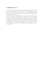 [경영전략분석] 인터넷기업 daum 다음 경영전략분석-10