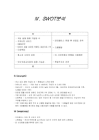 [경영전략분석] 인터넷기업 daum 다음 경영전략분석-11