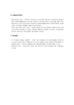 [경영전략분석] 인터넷기업 daum 다음 경영전략분석-12
