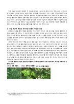 [방통대 2015-2] 가장 최근에 육성된 재배식물을 선정하고,  그 품종이 육성된 과정을 상세히 기술하시오-3