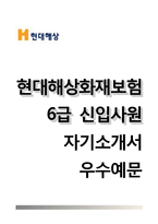 현대해상화재보험자기소개서+면접기출문제,현대해상화재보험(6급신입사원)자소서,현대해상화재보험합격자기소개서,현대해상화재보험자소서항목,현대해상화재보험면접예상질문,현대해상합격예문-1
