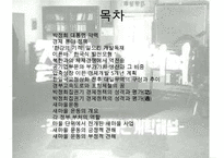 박정희 대통령경제개발새마을운동경제사-2