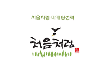 처음처럼 제품분석과 마케팅 4P,SWOT,STP전략 분석및 처음처럼 문제점분석과 해결위란 마케팅전략 제안 PPT-1