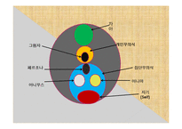 융의 분석심리학-16