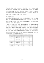 현대자동차 기업분석과 현대자동차 중국진출 마케팅 SWOT,STP,4P전략과 경영전략분석및 나의의견-15