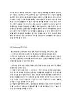 스킨푸드 마케팅전략 케이스연구 :(스킨푸드 성공요인분석과 마케팅 4P,STP,SWOT분석및 스킨푸드 문제점과 새로운전략제안및 미래전망)-9
