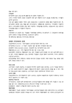 경영전략 레포트-2