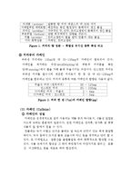 커피에서 카페인의 추출 및 분리-2