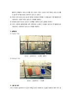 Aldehyde의 성질 및 할로포름-3