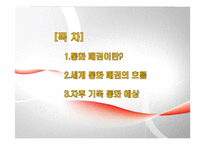 세계 통화 패권의 흐름-2