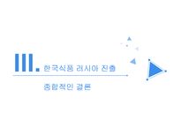 팔도 도시락과 오리온 초코파이의 러시아 진출-19