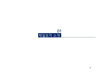 제일모직 SPA시장진출 경영전략제안 PPT(제일모직 기업분석과 제일모직 경영전략제안과 중국진출 전략제안)-3