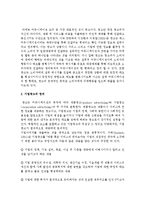 [기업광고와브랜드커뮤니케이션 A형] 기업광고의 정의를 내리고 기업광고의 유형, 기능 및 효과를 자세히 설명하시오-3