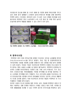 락앤락 마케팅전략 케이스연구(락앤락 기업분석과 마케팅 SWOT,STP,4P전략분석과 락앤락 중국진출 사례연구)-19