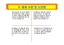 코카콜라와 롯데칠성의 기업문화-10