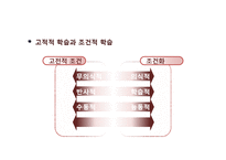 학습이론과 학습전략-11